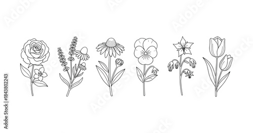 Line art of various floral designs: rose, lavender, echinacea, pansy, bellflower, tulip