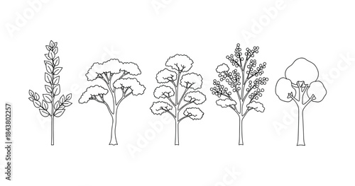Black and white line drawings of various tree types in simple style
