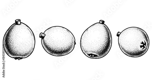 Monochrome ink drawings of four balloons in varying deflation stages