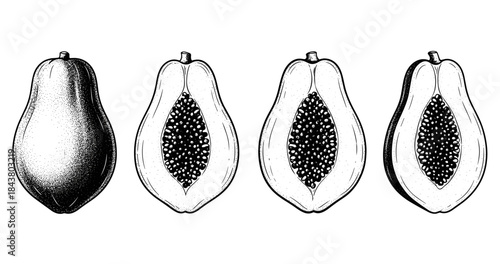 Hand-drawn papaya illustration showing whole and sliced views in black and white