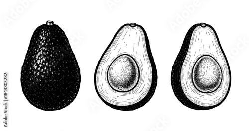 Detailed hand-drawn avocado illustration: whole and halved views