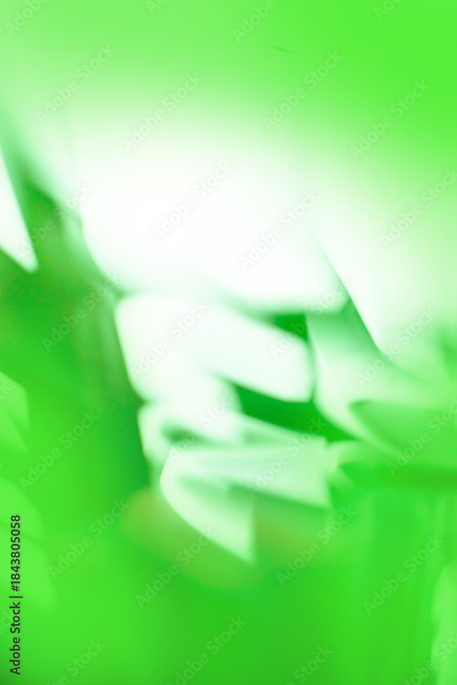Obraz premium Green defocused texture for your design. Green blurry background.