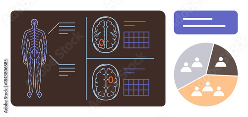 Human anatomy outline, brain diagrams, data charts, segmented pie chart for group analysis. Ideal for healthcare, diagnostics, research, neurology, data visualization medical education scientific