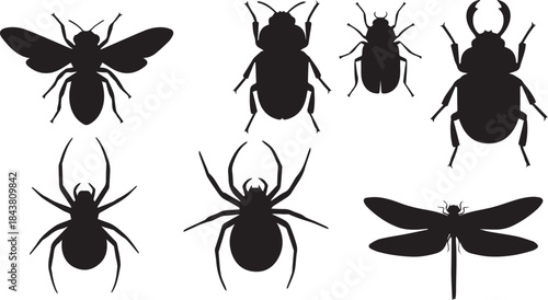 Diverse insect silhouettes collection including bee spider beetle and dragonfly for nature designs