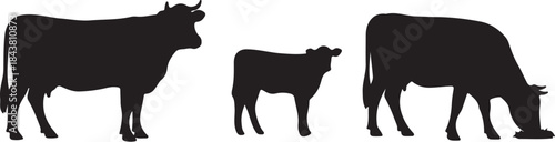 Three black silhouette cows standing in a row with different postures also transparent background