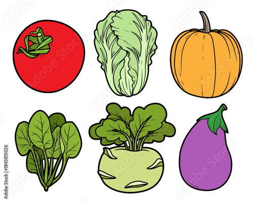 Tomato, Chinese cabbage, pumpkin, eggplant, spinach, and kohlrabi  color illustration with outline on white background