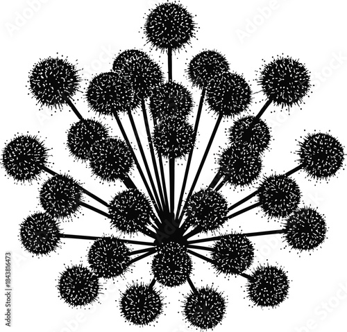Abstract black and white graphic design featuring a symmetrical cluster of spiky spheres connected by thin radiating lines against white