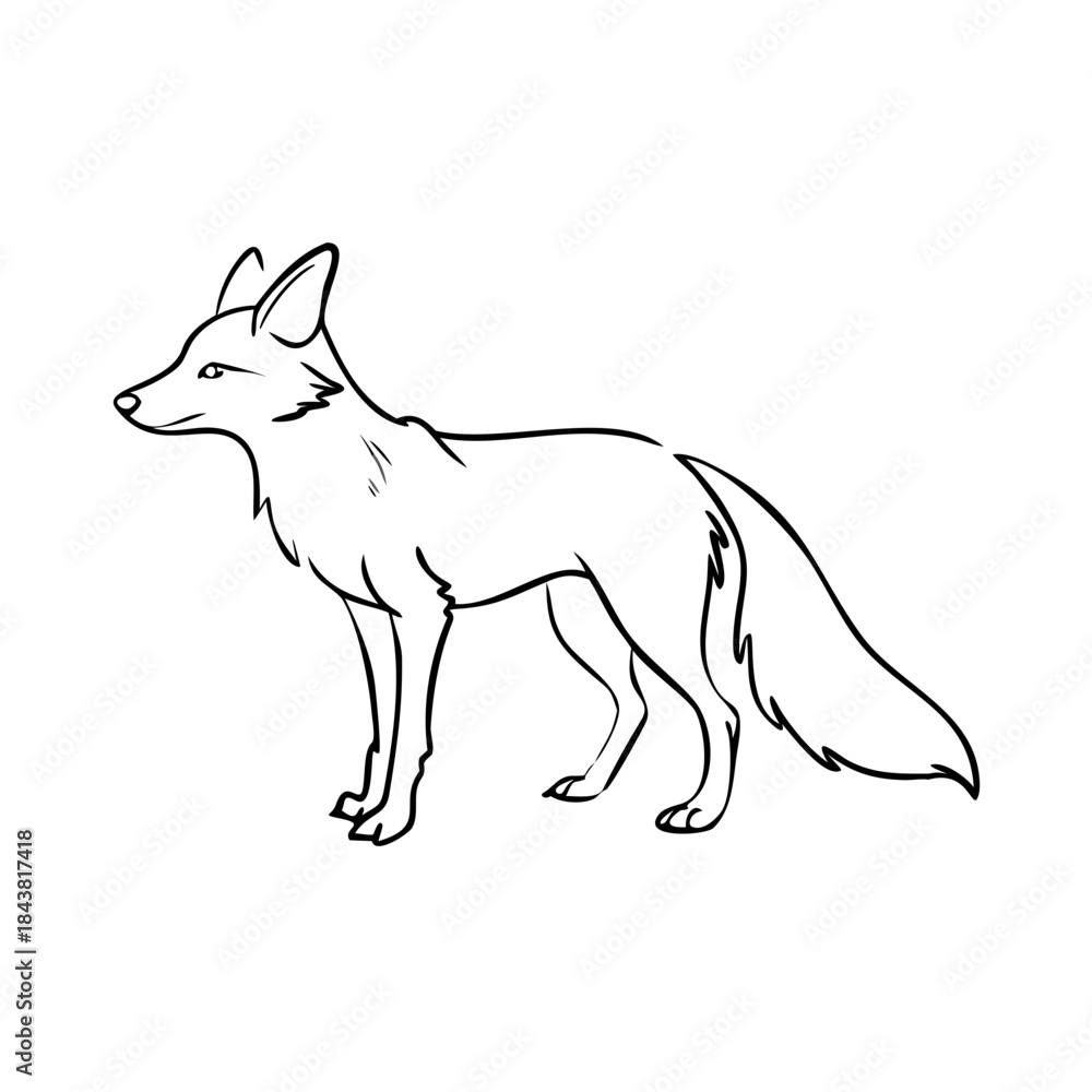 Naklejka premium Clean hand-drawn outline of standing fox sketch, side profile. Hand drawn artwork features elegant fine lines for fox sketch. Ideal fox sketch for educational projects, nature designs.