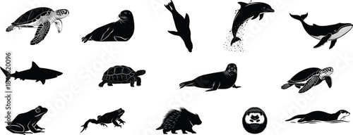 Silhouette illustrations of various marine and terrestrial animals
