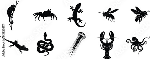 Silhouettes of various venomous and poisonous creatures