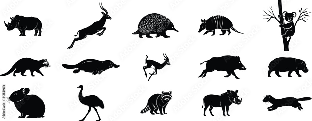 Obraz premium Collection of black silhouettes of various wild animals