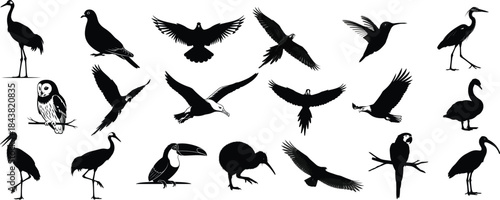 Collection of various crane and bird silhouettes in different poses