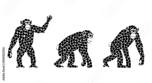 Evolution of humans concept with stylized primate silhouettes