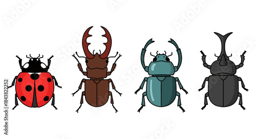 Diverse beetle collection in flat design featuring ladybug, stag, dung, and rhinoceros beetles