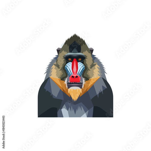 Stylized Mandrill Monkey Portrait Illustration Artwork.