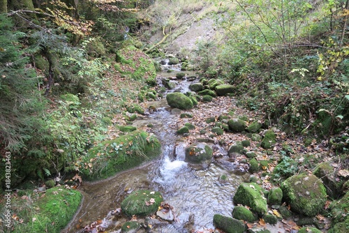 Der Wanderweg von Steibis in Oberstaufen zu den Buchenegger Wasserfällen überquert den Stegenbach. Das Wasser fließt im Bachbett über mit Moos bedeckte Steine. Gesehen im Herbst.