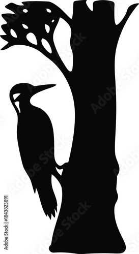 Elegant black silhouette of a woodpecker actively pecking on an old tree trunk a classic wildlife scene