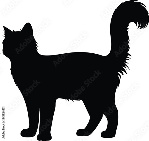 Detailed fluffy domestic cat silhouette standing with expressive fur and whiskers