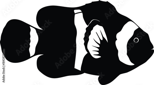 Elegant black and white clownfish silhouette illustration featuring distinct body stripes and fin markings