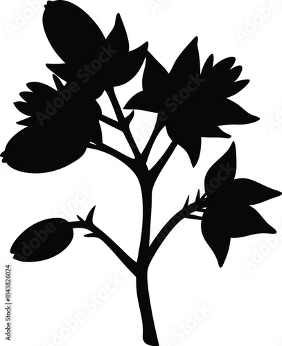Elegant black plant stem silhouette adorned with natural leaves and ripening fruit berries
