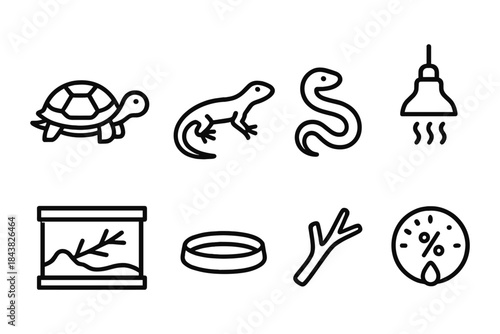 Simple line icons of reptile pets and accessories for terrariums