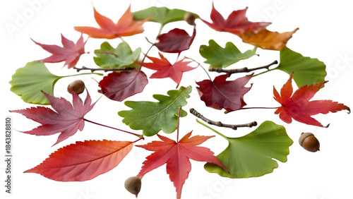 Colorful autumn leaves arranged in a decorative circular pattern