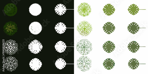 Abstract arrangement of circular patterns in green white and black hues