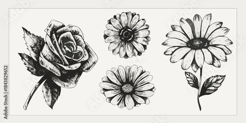 Delicate floral arrangement of sketched roses and daisies in monochrome style