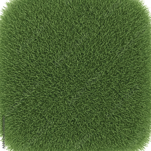  Generate a Green grass texture can be use as background on vector illustration