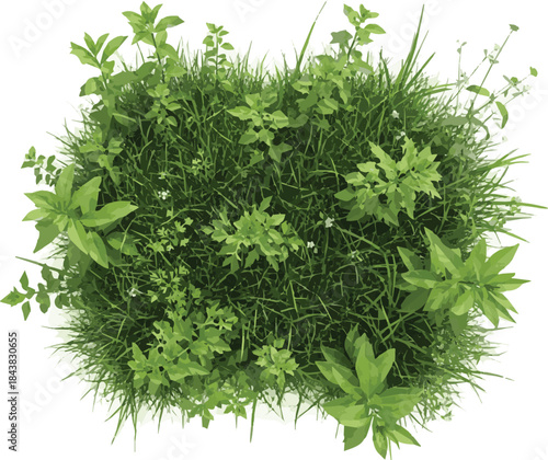 Lush green grass and foliage isolated on perfect for nature and ecology themed designs isolated on white transparent background