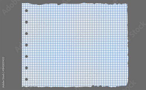 Graph paper. Printable lined and squared grid paper with color lines. Geometric background for school, textures, notebook, diary. Realistic ripped aged paper blank.