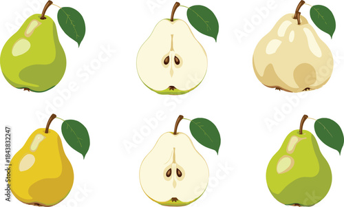 A Colorful Vector Collection of Ripe Pears in Green, Yellow, and White Tones with Leaves and Halved Sections for Diet, Health, or Food Decoration.