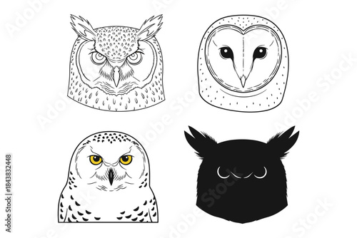 Collection of owl faces in various artistic styles: silhouette, line art, and realistic