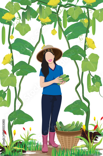 agriculturist is harvesting cucumbers in garden vector design
