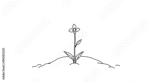 A delicate line drawing of a single flower blooming from a mound of earth.
