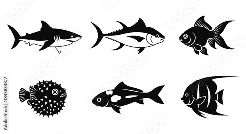 Collection of marine fish silhouettes featuring shark, tuna, and exotic species
