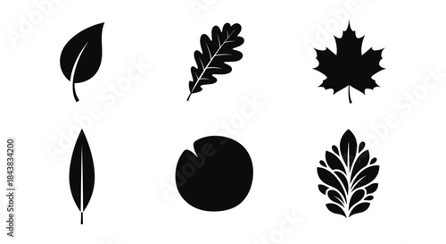 Silhouette collection of various leaf shapes