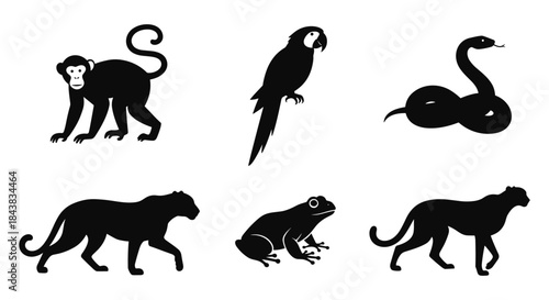 Wildlife silhouettes: monkeys, snakes, tropical birds, and jungle animals