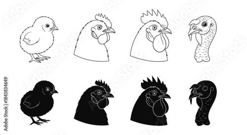 Silhouette and outline farm birds collection: chicks, roosters, turkeys