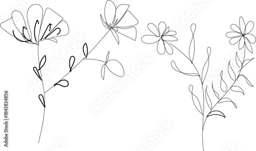 A delicate line drawing of flowers and leaves on stems