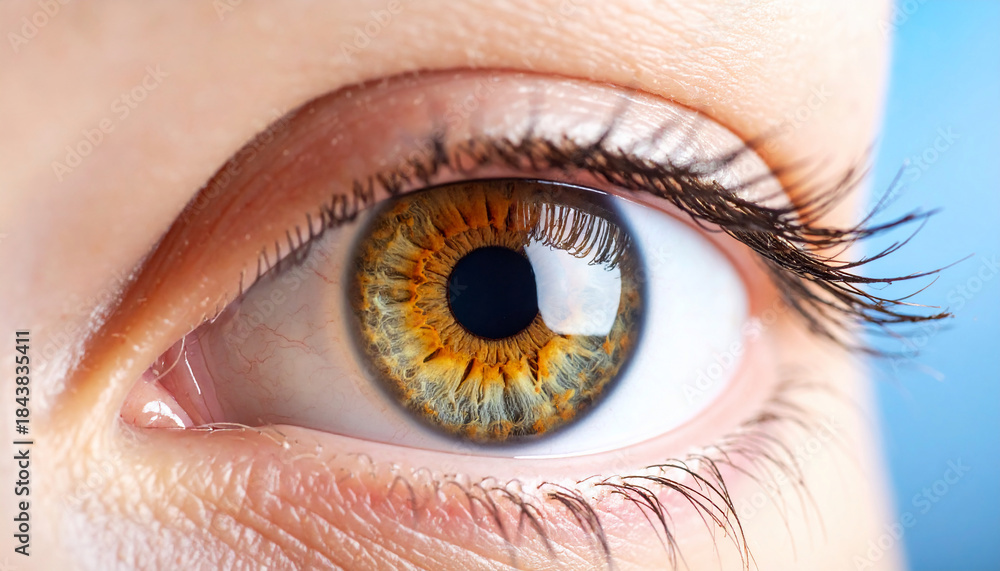 Fototapeta premium Hazel Eye Close-Up