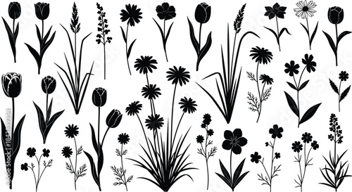 Black and white silhouette set of various spring and summer garden flowers, including tulips, daisies, chamomile, clover, and wildflowers, on a white 