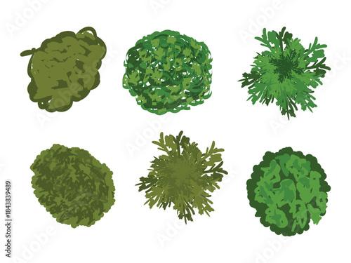 Vector view of trees in hand-drawn top view, isolated on a white background,  Potted flowers colorful icons for landscape, architectural, interior design. 