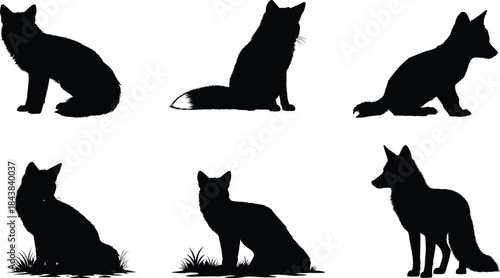 Silhouette of various dog breeds in different poses and actions silhouette