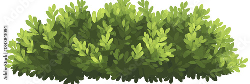 Lush green bush with dense natural foliage illustration isolated on white background realistic leafy shrubbery vector art for garden landscape design