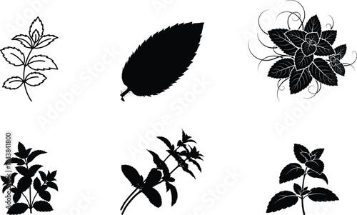 Collection of various green leaf shapes and a silhouette