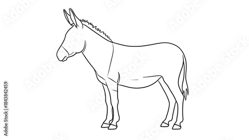 A simple line drawing depicts the side profile of a donkey showcasing its distinctive features