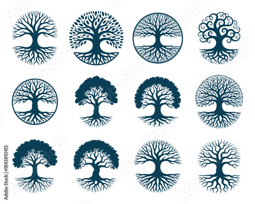 Tree of Life Svg