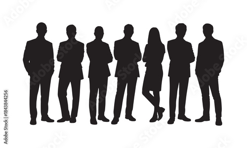 Business Team Silhouettes - Corporate Professionals Standing