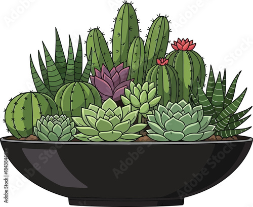 A charming cartoon illustration of various cacti and succulents in a black pot